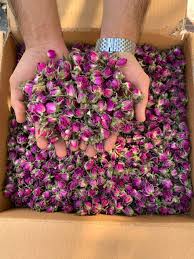 تصویر 4 از غنچه گل محمدی خشک با استاندارد کیفیت